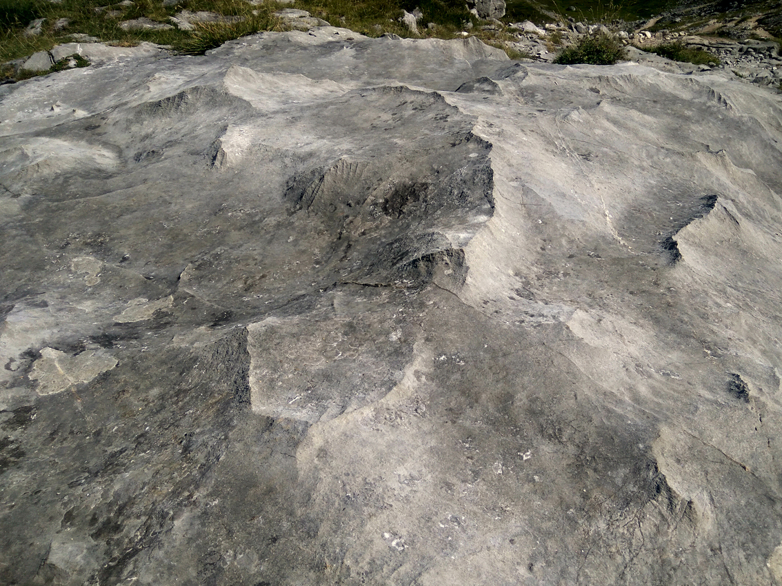 PICOS DE EUROPA / CUERA / SUEVE
