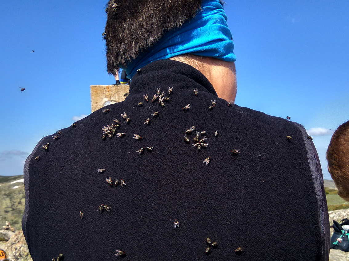 NEGRA. NEVERO/REVENTÓN